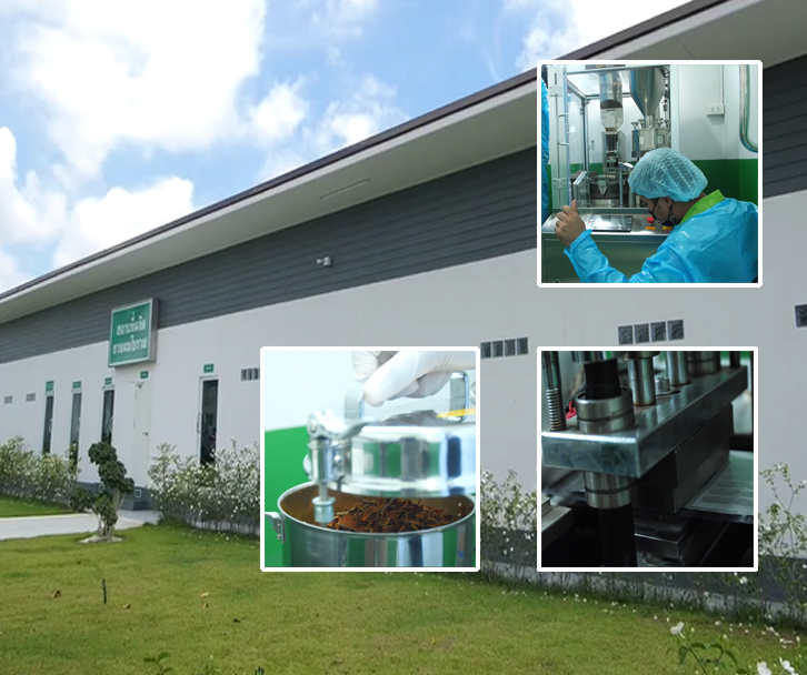 Herbal Medicine Factory